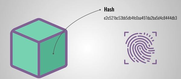 How does Blockchain Technology Work hash Code