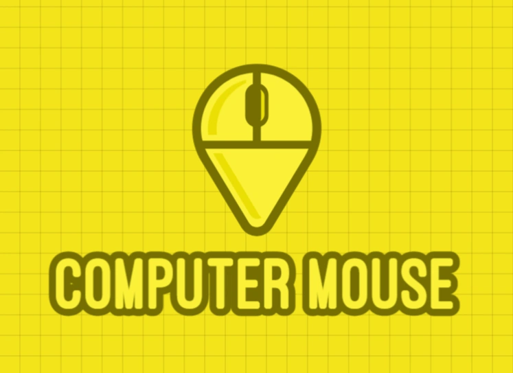 Computer Mouse